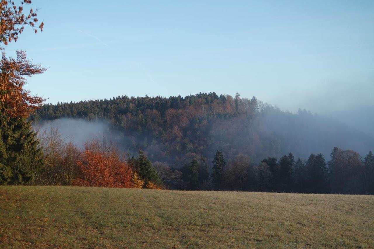 Alb Chalet Messstetten Экстерьер фото