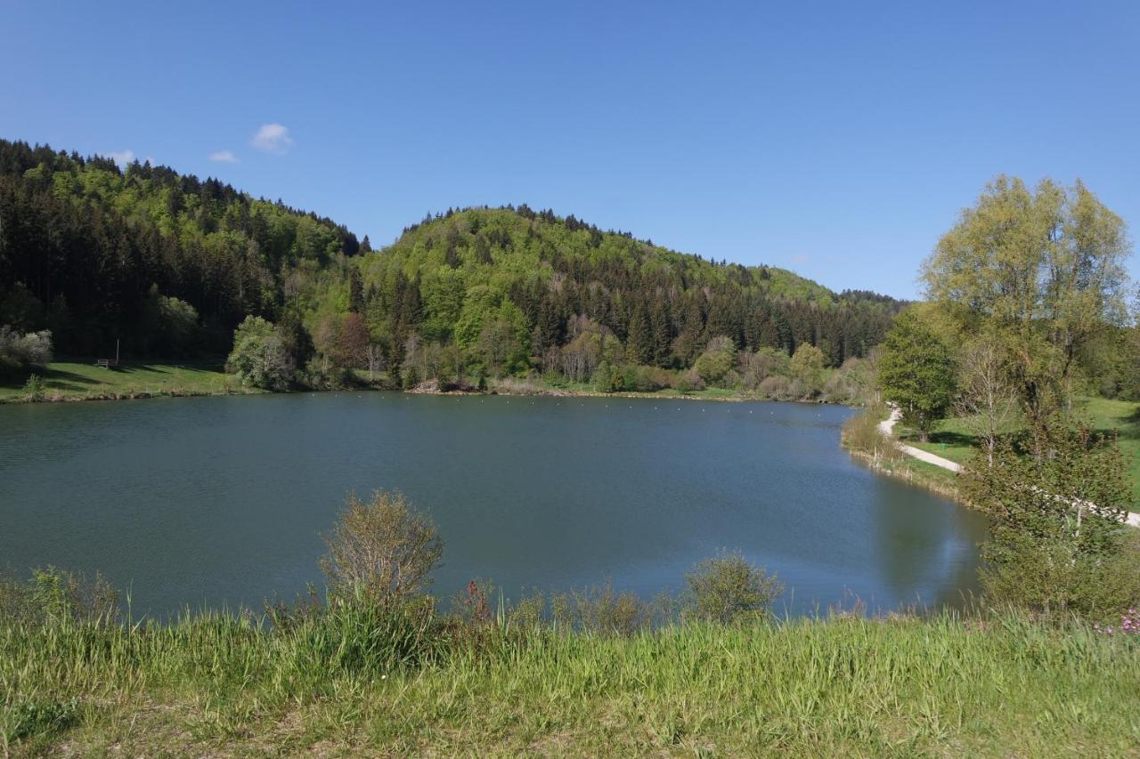 Alb Chalet Messstetten Экстерьер фото